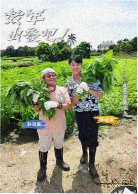 山城旧事短剧封面图